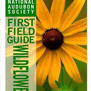 Book: First Field Guide to Wildflowers by National Audubon Society